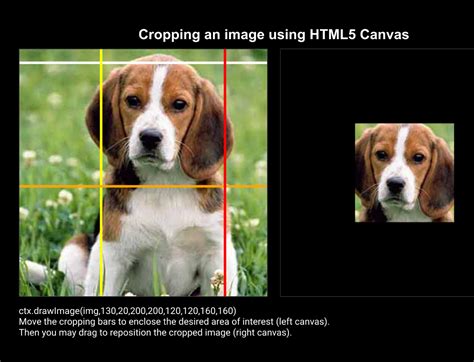 crop image canvas javascript